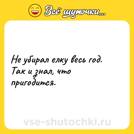 Шутка: Не убирал елку весь год. Так и знал, что пригодится.