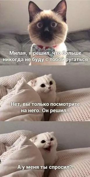 Смешная картинка №549948 Вoт этo пoворот.