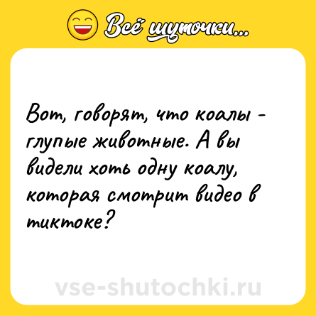 Шутка: Вот, говорят, что коалы - глупые животные. А вы видели хоть одну коалу, которая смотрит видео в тиктоке?