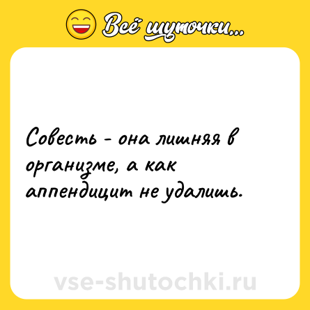 Шутка: Совесть - она лишняя в организме, а как аппендицит не удалишь.