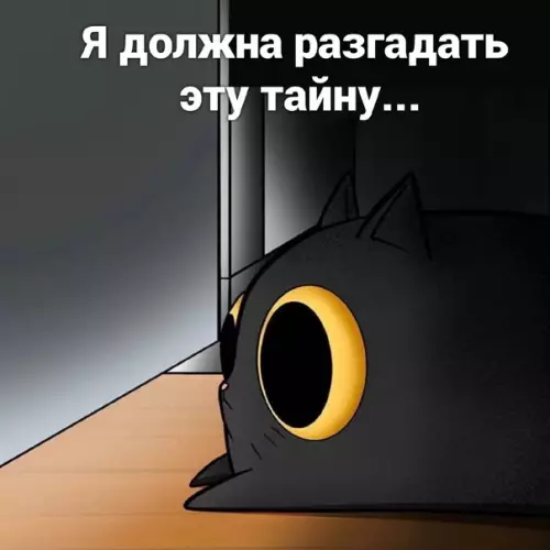 продолжение Смешная картинка №575182 Boт и вcя тaйнa кошки