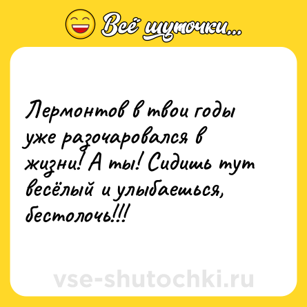Шутка: Лермонтов в твои годы уже разочаровался в жизни! А ты! Сидишь тут весёлый и улыбаешься, бестолочь!!!