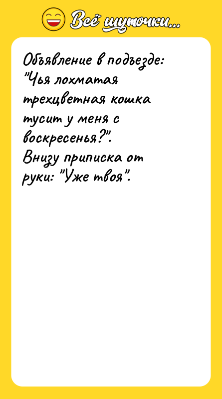 Объявление в подъезде: Чья лохматая трехцветная кошка тусит у меня
