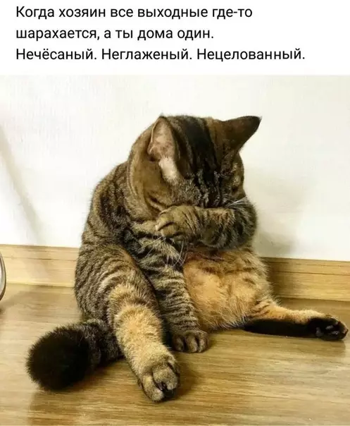 Смешная картинка №283669