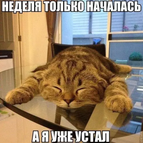 Смешная картинка №221938