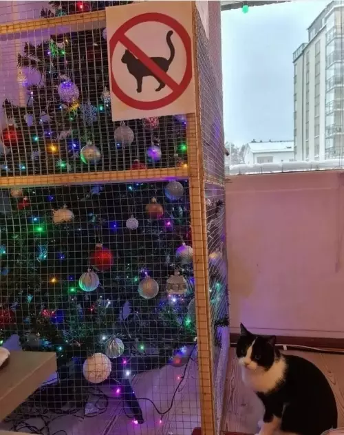 Смешная картинка №796334