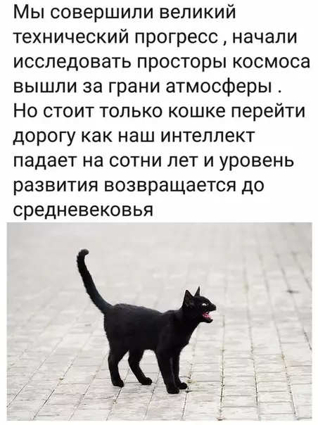 Смешная картинка №459704 Вот такой парадокс...