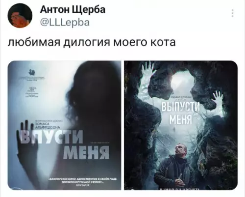Смешная картинка №726796 коты