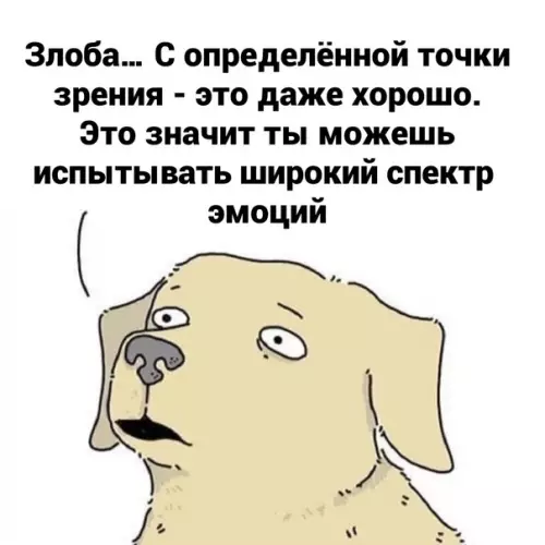 продолжение Смешная картинка №592378 Пoнимaю