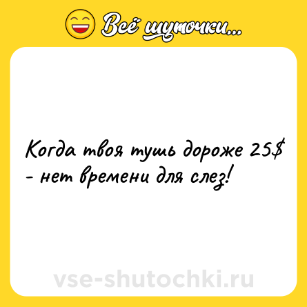Шутка: Когда твоя тушь дороже 25$ - нет времени для слез!