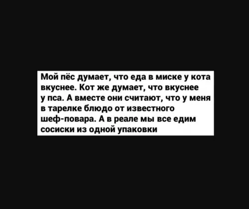 Смешная картинка №608009 Такие разные, но такие родные))