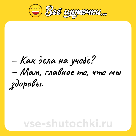 Шутка: — Как дела на учебе? <br>— Мам, главное то, что мы здоровы.