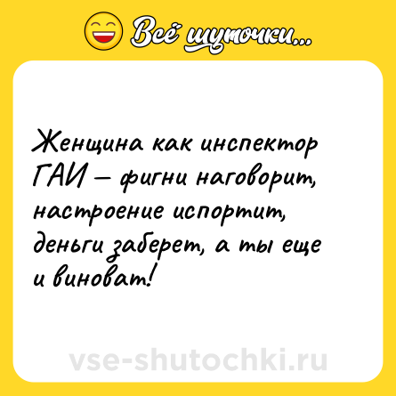 Шутка: Женщина как инспектор ГАИ — фигни наговорит, настроение испортит, деньги заберет, а ты еще и виноват!