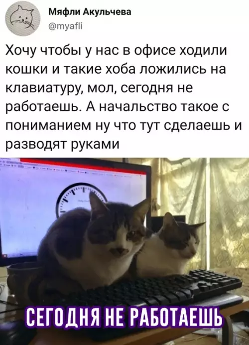 Смешная картинка №623976