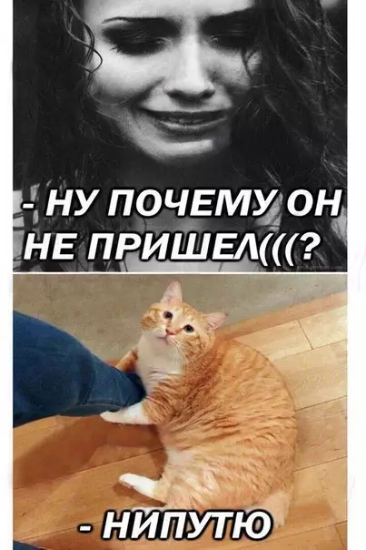 Смешная картинка №234586
