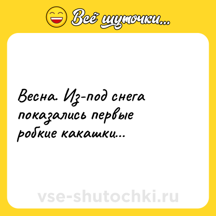 Шутка: Весна. Из-под снега показались первые робкие какашки…