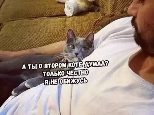 Смешная картинка №391068