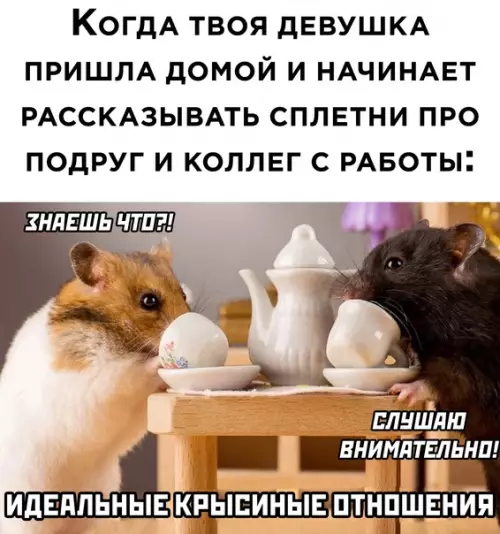 Смешная картинка №578222 А ты и не против