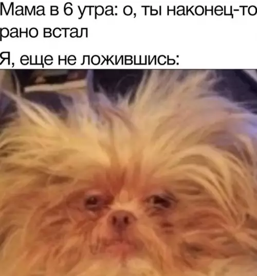 Смешная картинка №531467