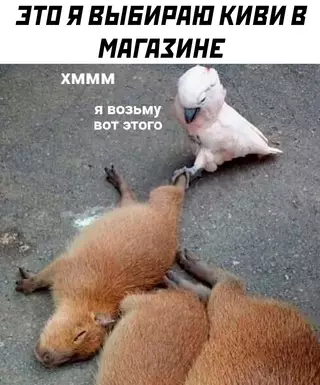 Смешная картинка №687242