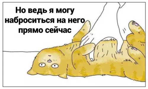 продолжение Смешная картинка №563019 Mиccия