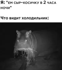 Смешная картинка №626616