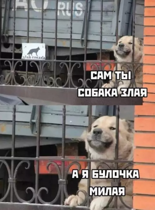 Смешная картинка №735772