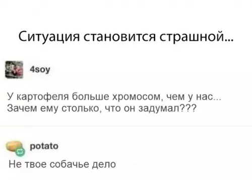 Смешная картинка №322519