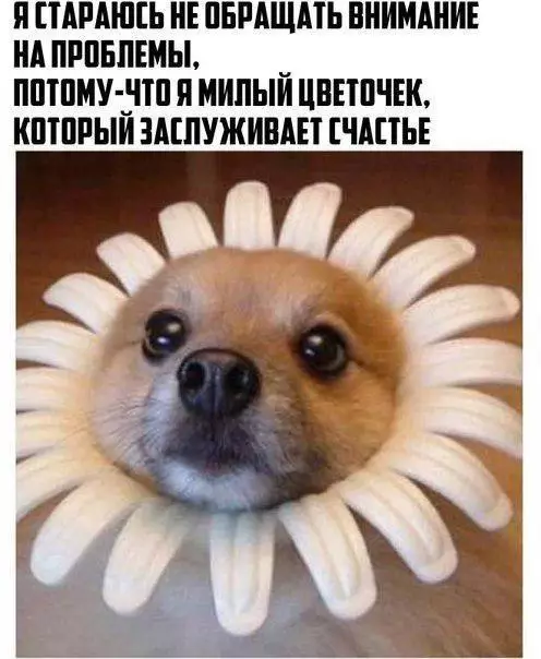 Смешная картинка №175890