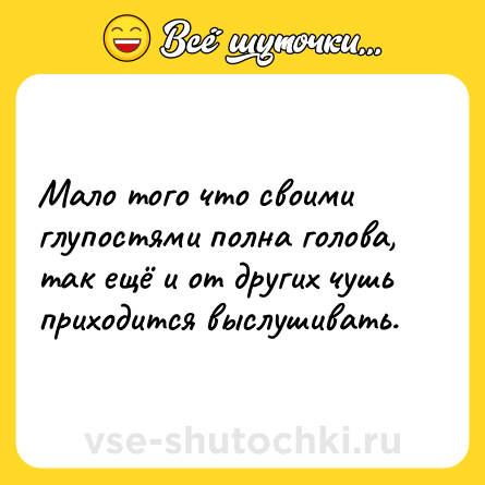 Шутка: Мало того что своими глупостями полна голова, так ещё и от других чушь приходится выслушивать.
