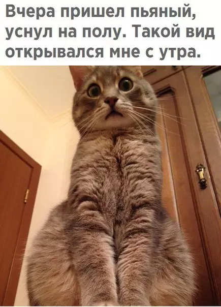 Смешная картинка №203634