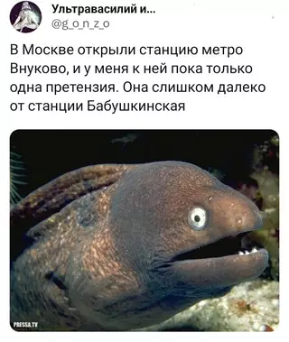 Смешная картинка №696758