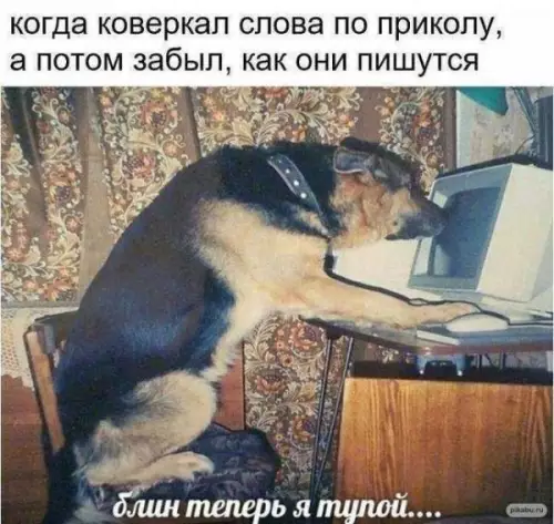 Смешная картинка №649701