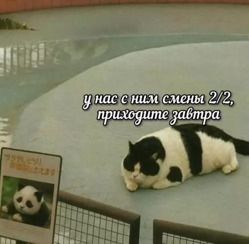 Смешная картинка №786103