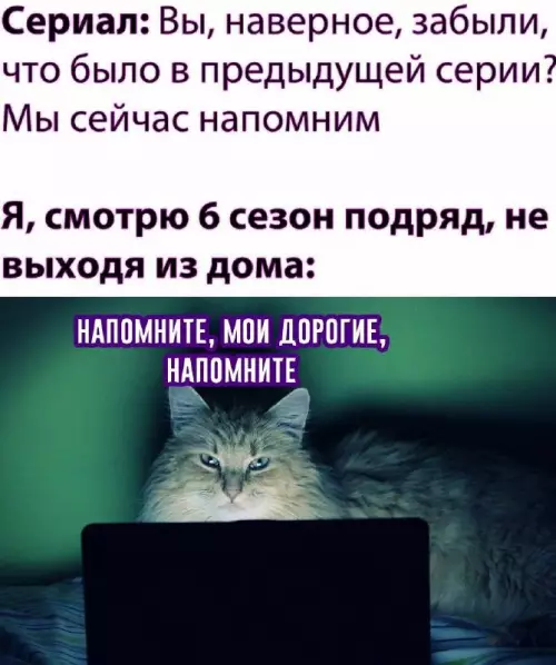 Смешная картинка №687354