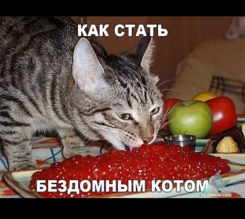 Смешная картинка №357261