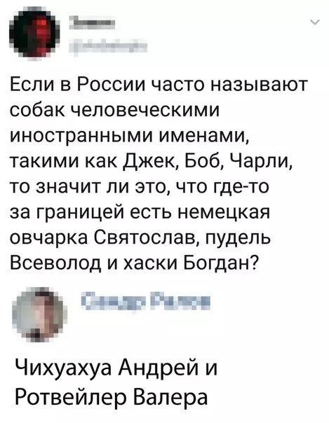 Смешная картинка №357659
