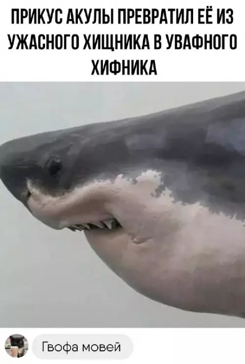 Смешная картинка №677414