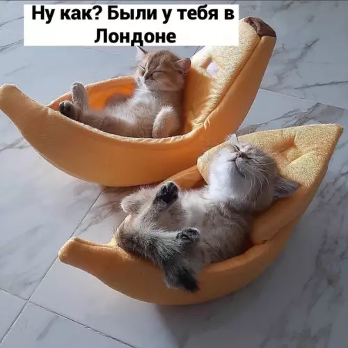 Смешная картинка №535916