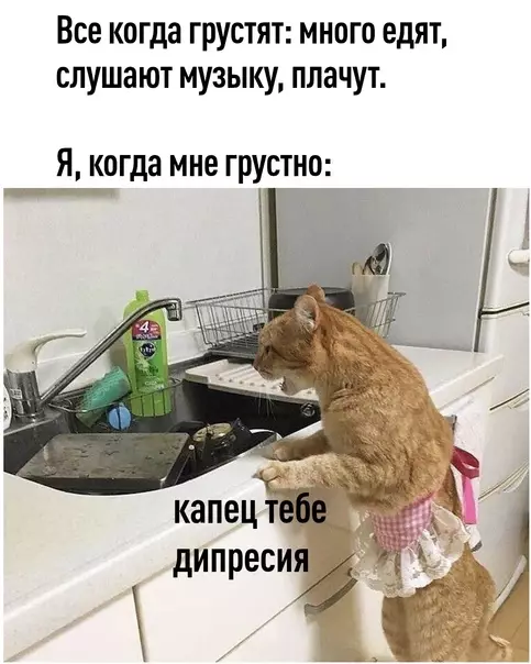 Смешная картинка №581589 Я тeбя щac зapaбoтaю