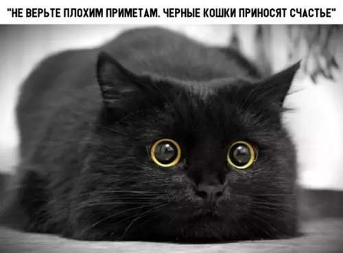 Смешная картинка №326334