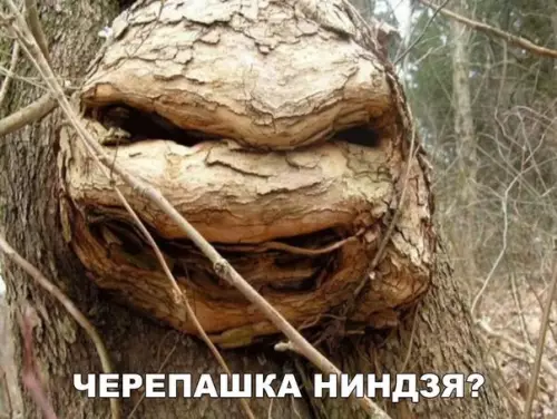 Смешная картинка №224799