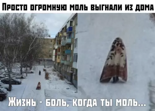 Смешная картинка №391356