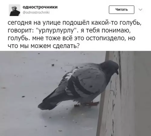 Смешная картинка №315585