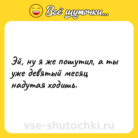 Шутка: Эй, ну я же пошутил, а ты уже девятый месяц надутая ходишь.