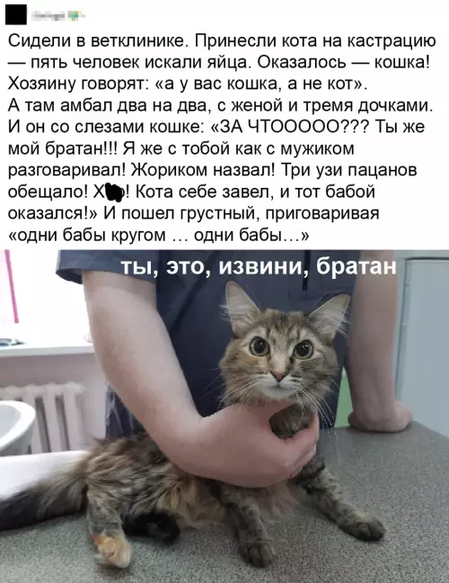Смешная картинка №784593