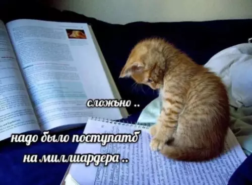 Смешная картинка №768414