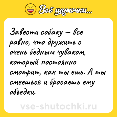 Шутка: Завести собаку — все равно, что дружить с очень бедным чуваком, который постоянно смотрит, как ты ешь. А ты смеешься и бросаешь ему объедки.