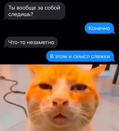 Смешная картинка №676139