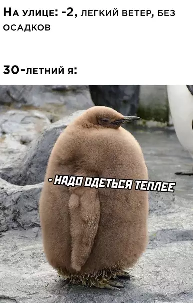 Смешная картинка №616311